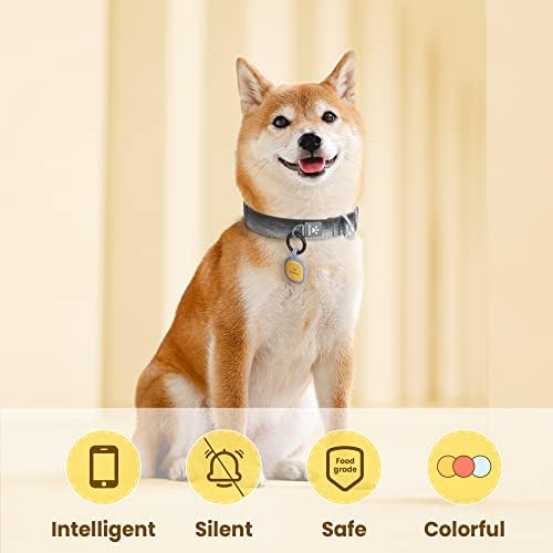 Pawaii Dog ID Tag, Silent Silicone QR Code Tag, Scan Alerts, No App, 1 Pack