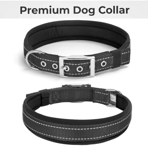 Reflective Dog Collar for XLarge Dogs Wide Padding 6 Holes Adjusta