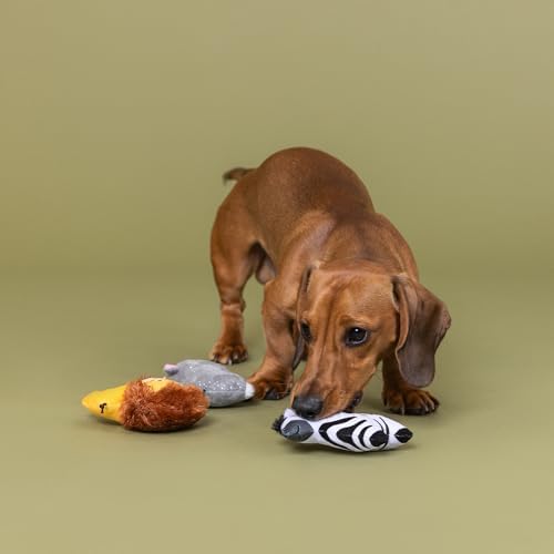 Fringe Studio Plush Dog Toy, 3 Pieces Set, Meet ME AT THE Zoo, Pet Shop Collection (662175)