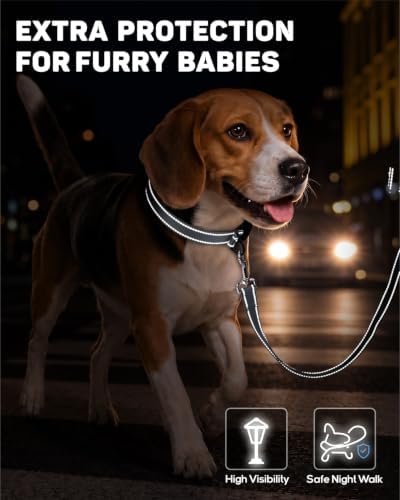 Padded Dog Collar with Waterproof Holder Compatible with Airtag
