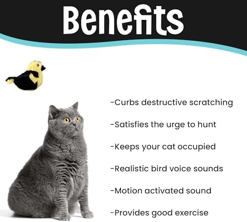 SPOT Song Birds Cat Toy- Touch Activated Singing Catnip Toy Mimics Real Bird Songs, Battery Operated Toy Satisfies Cat's Natural Urge to Hunt - One 5" Song Bird, Assorted Colors