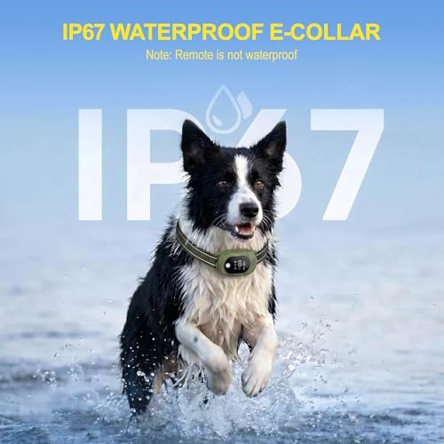 Dog Shock Collar with Remote Control, Shock Collar for Dogs,Green