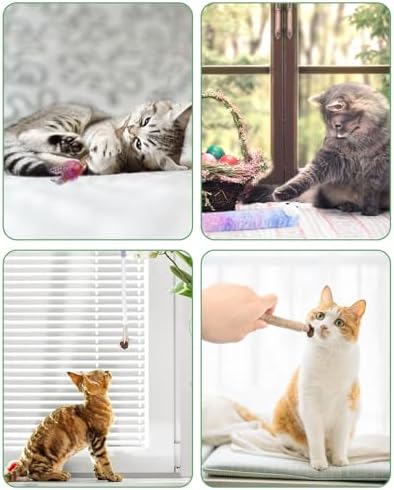 Bissap 20PCS Silvervine Chew Sticks, Catnip Chewing Toy for Cat Kitten