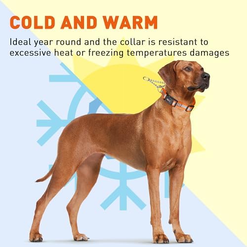 Dogline Reflective Martingale Collar for Dogs with Quick Release Buckle – Biothane Dog Collar with Herm Sprenger Assembly Chain – Waterproof No Pull Dog Collar, L 11”-15”, Hunter Orange