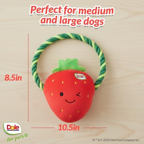 Dog Rope Toy with Squeakers, Strawberry Tug of War Dog Toy, Tough Cotton Rope Toys for Dogs, Aggressive Chew Toys for Medium Dogs
