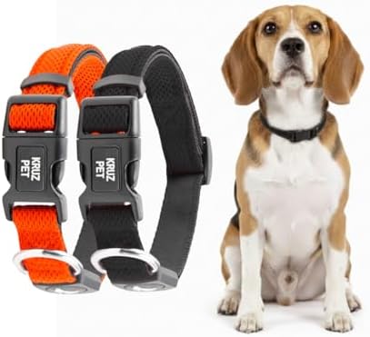 Dog Collar Bundle for Small Dogs (Width- 3/4", Neck - 10.5"-14.5") | Adjustable Padded Black & Orange Dog Collars with Heavy Duty O-Ring | Soft & Comfortable Fit for Small Dogs