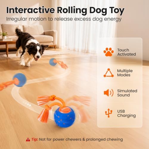 Potaroma Interactive Rolling Dog Ball, ETPU Touch Activated Motorized Toy