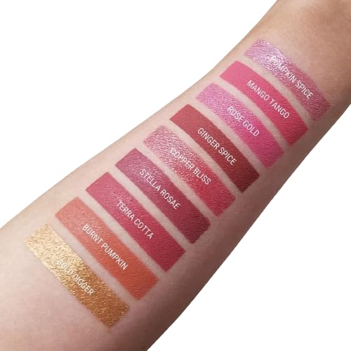 Aromi Matte Liquid Lipstick, Long-lasting, Chestnut, Rosy Lip Color, Vegan, Cruelty-free, Smudge Proof, Earthy Shade, Warm Tone (Stella Rosae)
