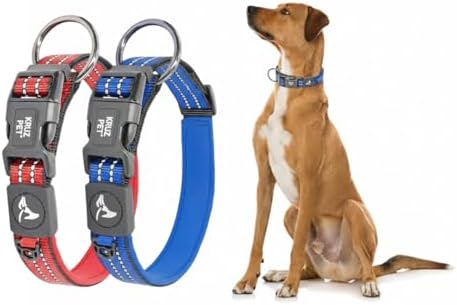 Dog Collar Bundle for Medium Dogs (Width- 3/4", Length - 17"-21.5") | Adjustable Padded Raspberry Red & Blue Dog Collars with Heavy Duty O-Ring | Soft & Comfortable Fit for Dogs