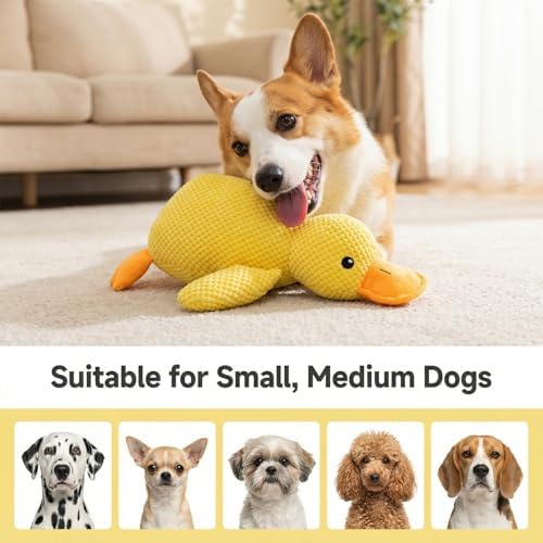 Cute Squeaky Duck Plush Toy for Small Medium Dogs, Soft Chew Toys with BB Squeaker for Gentle Chewers, Interactive Comfort and Fun Dog Toys for Boredom Relief
