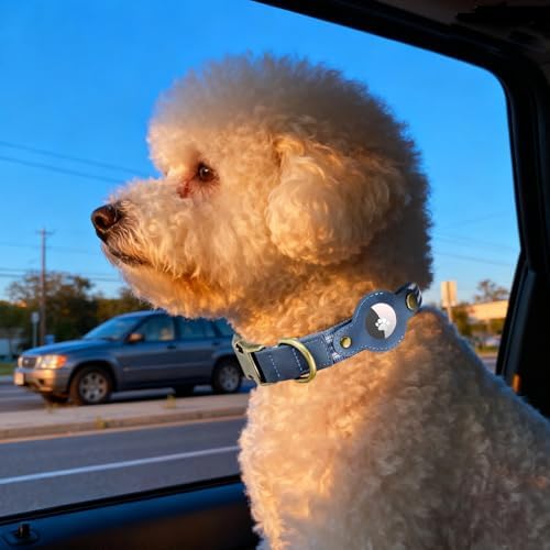 Airtag Dog Collar,Reflective Collar with Airtag Holder for Small Dogs(Blue)