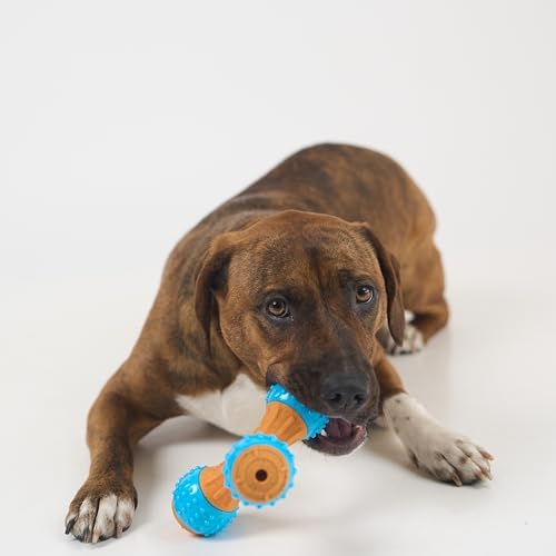 SPOT Bam-Bones PLUS Gigglers Tripod Durable Dog Chew Toy, For Large Aggressive Chewers, Bamboo Fiber & Nylon, Dual Texture, Massaging Rubber Ends, Sounds, Non-Splintering, Peanut Butter Flavor, 6 Inch