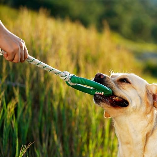 Green Sheep Natural Rubber Dog Chew Toy, Interactive Ring Rope Dog Toy for Tug of War, Durable Dog Toy with Recycled Cotton Rope for Medium to Large Dogs,Green