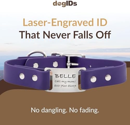 dogIDs Personalized Dog Collar – ScruffTag Custom Waterproof Biothane Dog Collar with Laser-Engraved Name, Durable & Odor-Resistant – USA Made | Purple, 3/4 in x 16 in (Fits Neck Sizes 14-18 in)