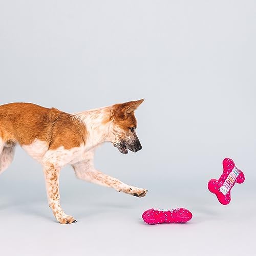 Fringe Studio Plush Dog Toy, It's My Barkday, Pet Shop Collection (314226)