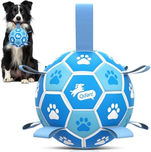 QDAN Dog Balls, 6 Inch Soccer Ball with Straps for Dogs, Outdoor Dog Toys