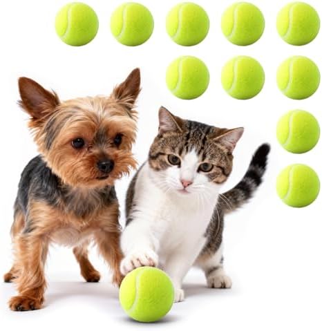 10 Pack 2-Inch Pet Tennis Balls - Interactive Fetch & Training Toys for Indoor Outdoor Play, Dog Balls Suitable only for Small Dogs (Green-02)