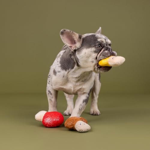 Fringe Studio Plush Dog Toy, 3 Pieces Set, SHROOMING, Pet Shop Collection (662176)