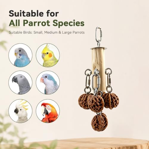 AOTU Bird Toys for Cockatiels Parrot Toys for Large Birds 304 Stainless Steel and Natural Hardwood Chew Toy for Macaw, Cockatoo African Greys Medium to Large Parrots Safe and Durable (Hard Walnuts)