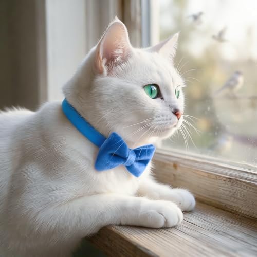 THAIN Personalized Cat Collar with Bell and Bowtie Breakaway QR Code Name Smart ID tag Quick Release Soft Comfortable Collar for Cats and Kittens (Royal Blue)