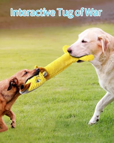 Dog Toys, Squeaky Plush No Stuffing Crinkle Dog Toy for Small Medium Large Dogs, Interactive Puppy Teething Water Bottle Dog Chew Toy (Lion)
