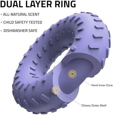 Playology Dual Layer Ring Dog Toy for Aggressive Chewers, Blueberry Scent