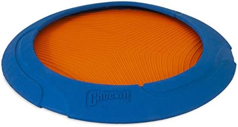 Chuckit! Ultra Flight Dog Fetch Toy