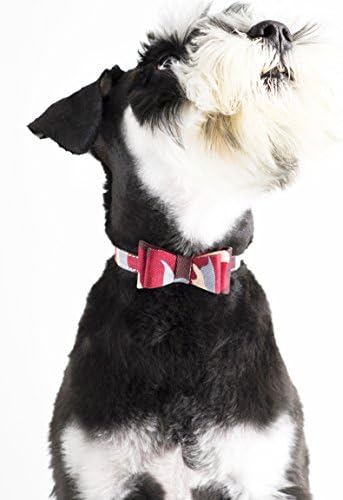Small Dog Collar Set, 2Pcs Puppy Cat Collar with Bow Tie & Bandana, Durable PU Leather Canvas Tiny Pet Scarf for Small Breed Pets camo-Green