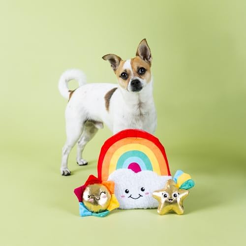Fringe Studio Look ON The Bright Side Hide and Seek Plush Dog Toy, Pet Shop Collection (289258)