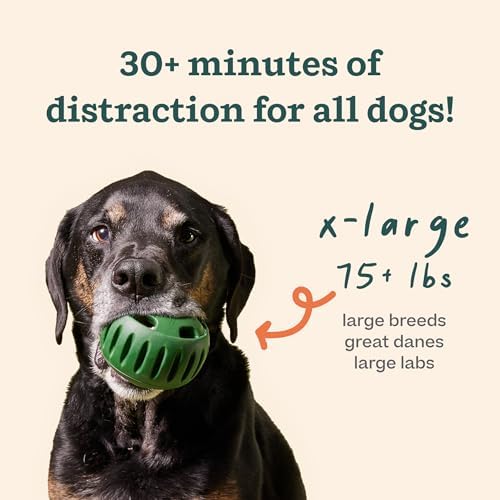 WOOF Starter Pack Dog Treat Toy for XL Dogs 75 lbs & Up | Long-lasting enrichment kit, Pupsicle toy included, reusable treat mold, chicken Pops, DIY frozen treats