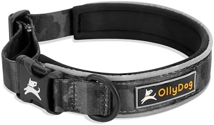 OllyDog Flagstaff Reflective Comfort Collar, Neoprene Padded Dog Collar, Reflective Trims for Night Runs, Extra Comfort for Active Dogs (Large, Dream Camo)
