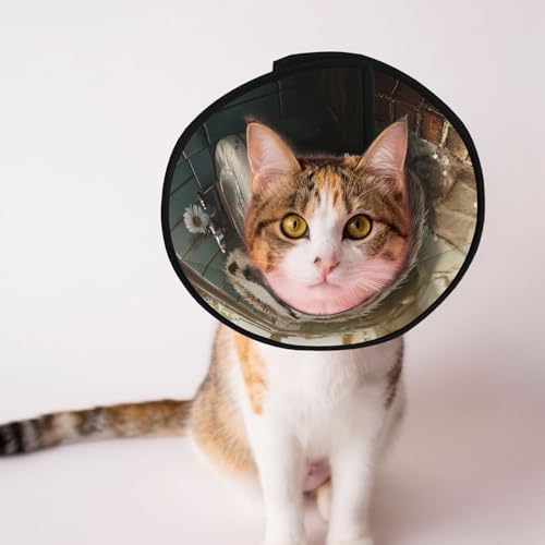 Custom Pet Cones - Unique Design Cat & Dog Cone, Collar for Post-Surgery Recovery, Adjustable Neck Smart Hedgehog Small