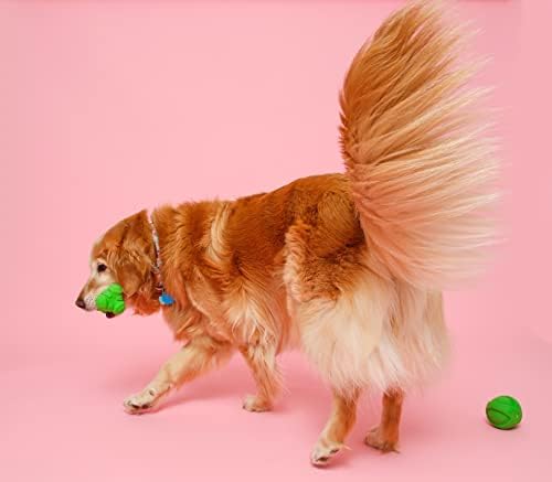 Hartz DuraPlay Bacon Scented Dog Toys, Large (Color May Vary) (Pack of 2)