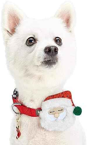Blueberry Pet Christmas Accessory Set of Collar Slide Hair Clip and Pedant for Dogs & Cats, Santa Claus Decor and Stocking Tag