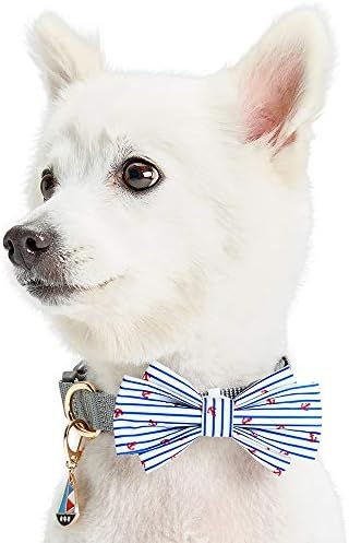 Blueberry Pet Bon Voyage Pet Accessory of Collar Slide Hair Clip and Pedant for Dogs & Cats, Pack of 2 Handsome Bowtie and Boat Tag