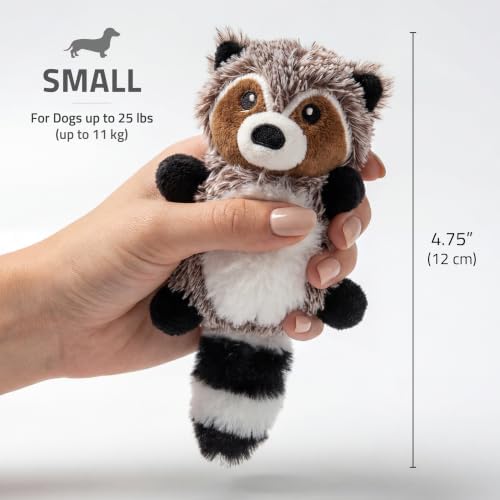 Playology Plush Raccoon Chew Toy for Small Dogs - Small, Sweet Potato Scent