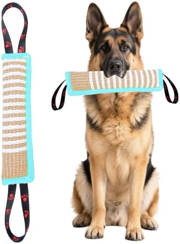 Clysoru Dog Tug Toy Tough Jute Bite Pillow Lasting Training Equipment Puppy to Large Dogs Interactive for Large and Small (Mint Green)