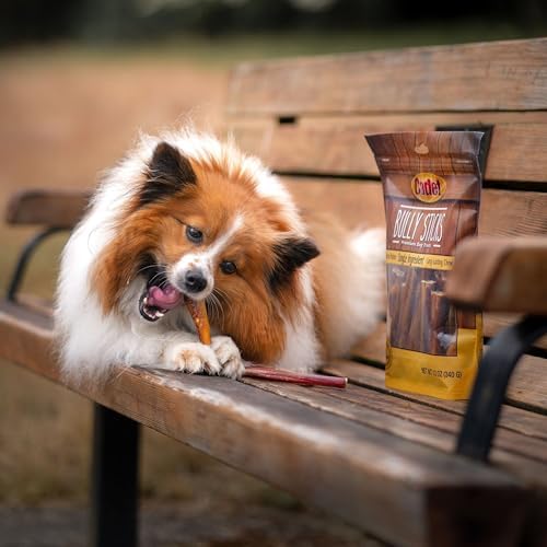 Cadet Bully Sticks for Small Dogs, All-Natural Beef Pizzle, Long-Lasting Rawhide Free Dog Treats for Aggressive Chewers, 4 Count (Pack of 4)