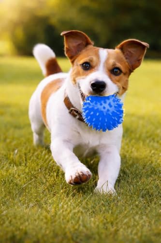 Squeaky Spiky Dog Balls for Teeth Cleaning & Gum Massage 2.5 Inch Small Medium Dogs Blue | Spiny TPR Rubber Chew Toys for Fetch Play Interactive Bouncy Dental Balls BPA Free Nontoxic Floats - 3 Pack