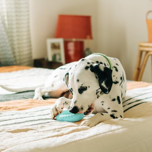 Playology Dual Layer Ring Dog Toy - Peanut Butter Chew Toy - Jumbo Blue