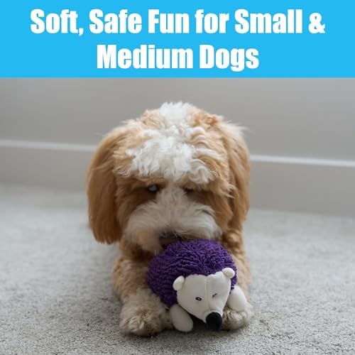 SPOT Gigglers Hedgehog Dog Toy with Giggle Sound | Textured, Plush Shake and Wiggle Hedgehog Giggle Toy for Small and Medium Dog Breeds, Assorted Colors