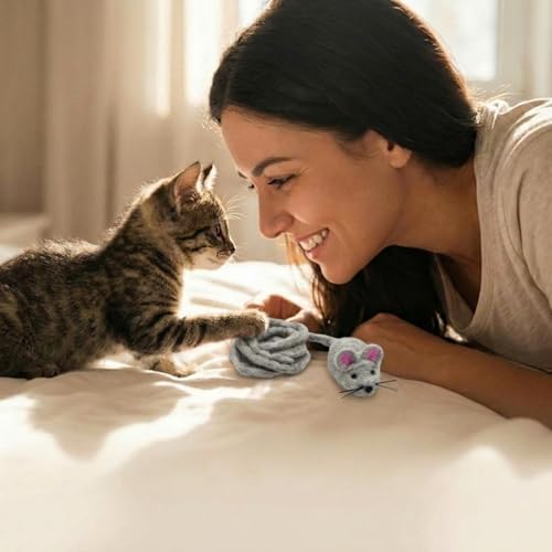 Glaciart One Felt Mouse Cat Toy – Soft Fuzzy Enrichment 100% Natural Wool - Interactive Catnip Play Cat Toy Set - Safe for Pets, Non-AZO Colored Dyes - 42” Long