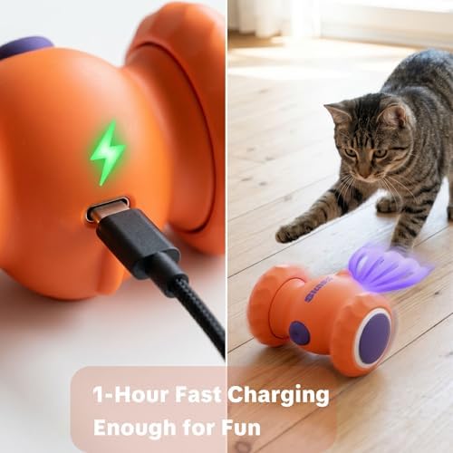 Interactive Cat Toys, Puppy Dog Toys