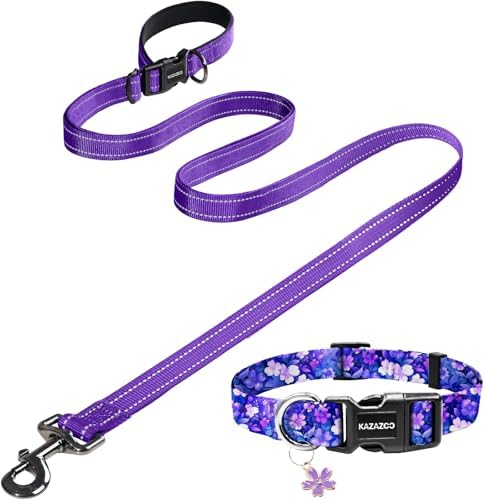 Puppy Dog Collar & Hands-Free Dog Leash Adjustable Length 5-8 Ft Adjustable Nylon Collar with Quick-Release Buckle