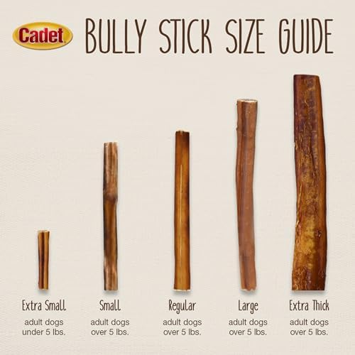 Cadet Bully Sticks for Small Dogs, All-Natural Beef Pizzle, Long-Lasting Rawhide Free Dog Treats for Aggressive Chewers, 4 Count (Pack of 4)