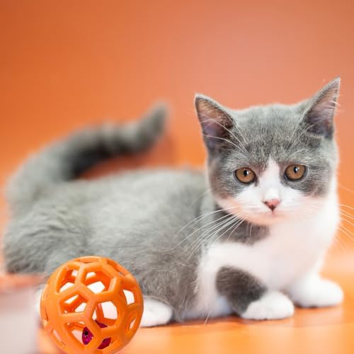 4pcs Pet Ball Toy Interactive Chasing Balls With Bell For Dogs & Cats