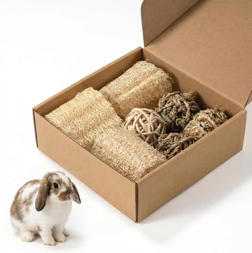 7 Pcs Rabbit Chew Toys, Interactive Bunny Foraging Toy, Natural Materials, Loofah Sponges, Seagrass Balls, Dental Cleaning, Relieve Stress