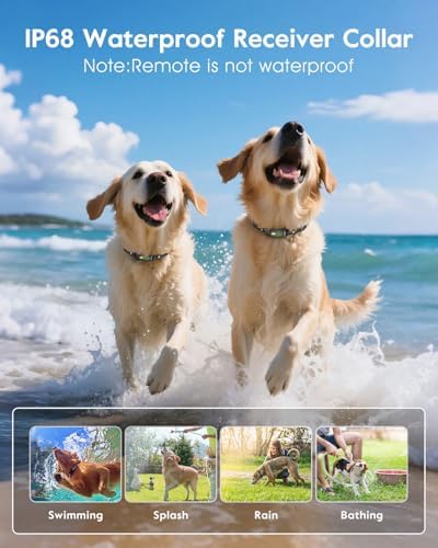 SLOPEHILL Dog Shock Collar 2 Dogs (8-140Lbs),4200FT Dog Training Collar | IP68 Waterproof e Collar with Beep,Vibration,Safe Shock,Flash Light,No Shock Model,Shock Collar for Dogs with Remote,Green