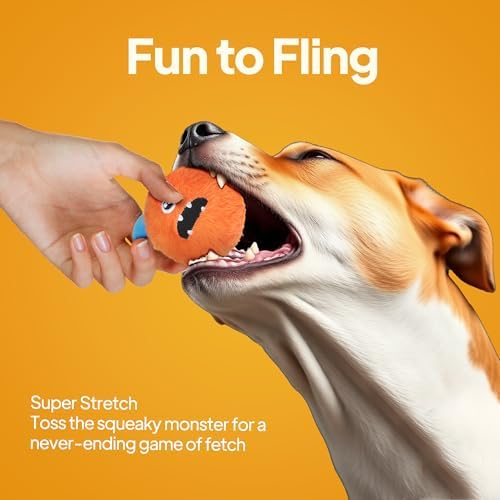 TwoEar Squeaky Ball Dog Toys for Small Dogs, Orange