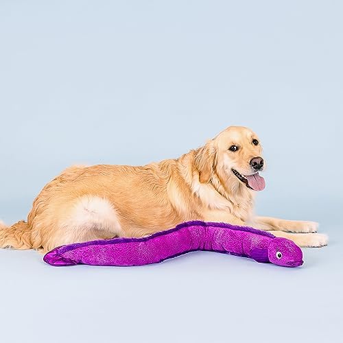 Fringe Studio Large Plush Dog Toy, Kind of A Big EEL, 37.5" Long x 3.5" Wide, Pet Shop Collection (728008)